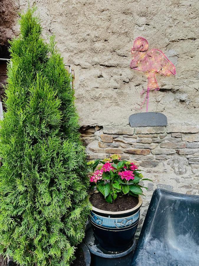 Dein Haus Am Rhein Leilighet Koblenz  Eksteriør bilde